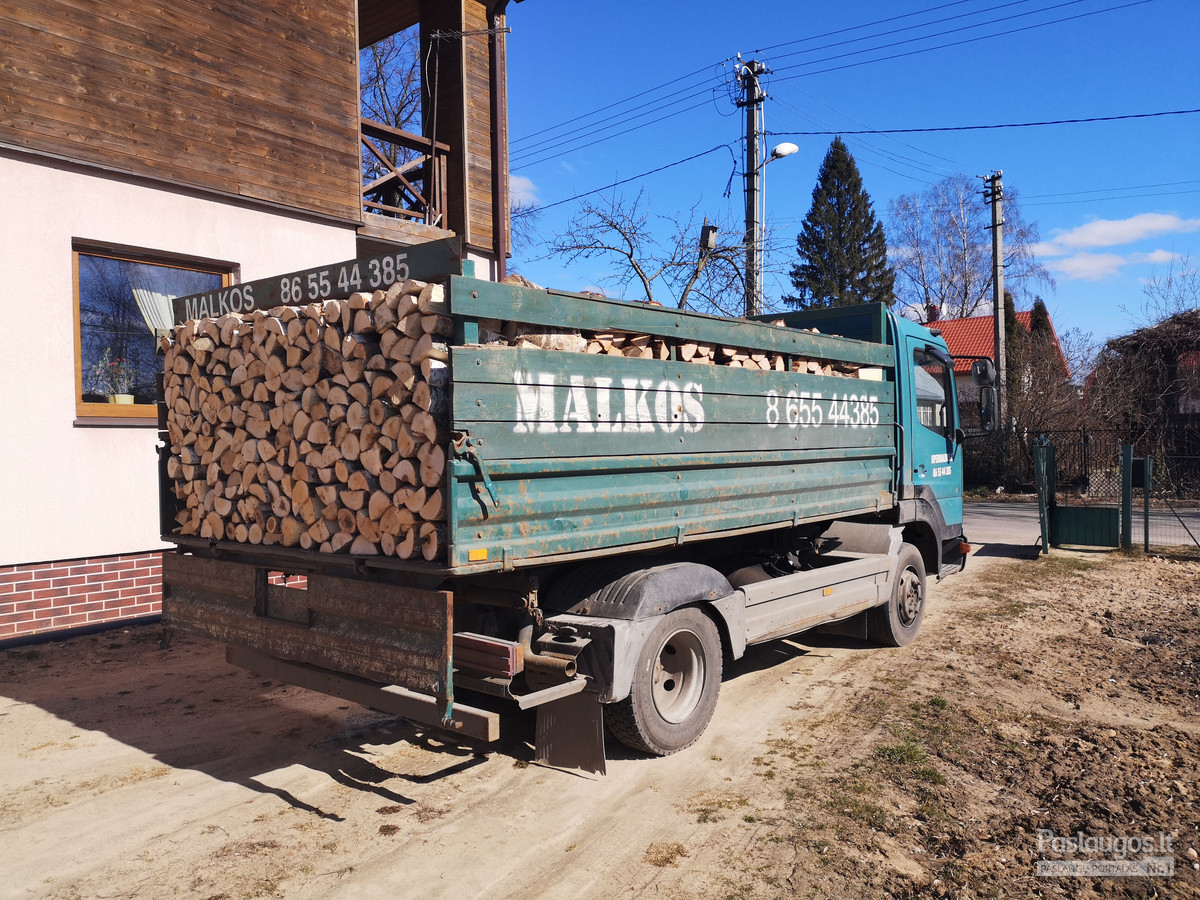 Malkos. Įvairių rūšių / Artūras / Darbų pavyzdys ID 2399013